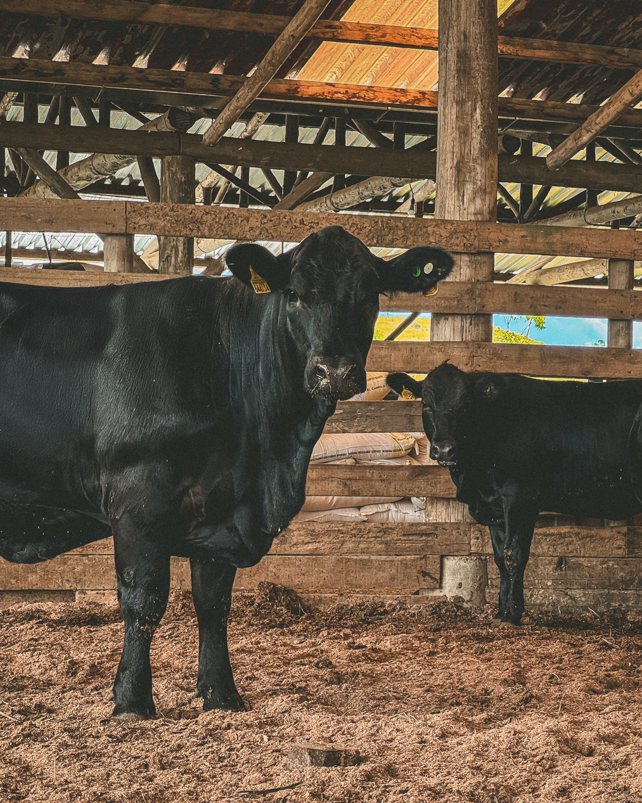 Essência Green Barn 2